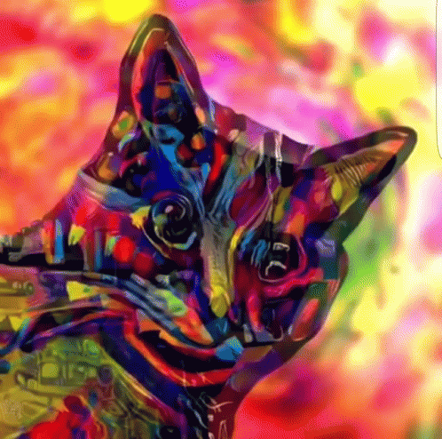 Trippy Cat GIF