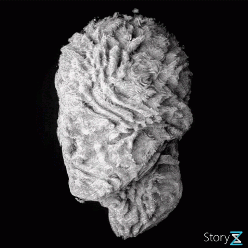Trippy Mind GIF