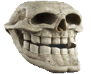Trollskullirl Troll Face Sticker