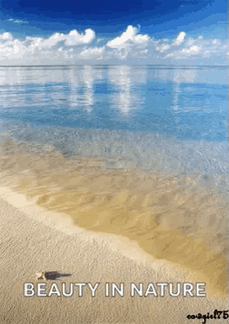 Tropical Beach GIF