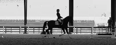 Trot GIF. This 400 x 156 animated GIF is part of our stick figure horse collection. Related themes include horse. View the original animation, share it, or…