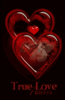 True Love True Love Quotes GIF