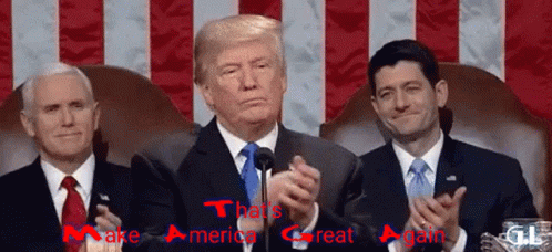 Trump 2020 GIF