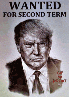 Trump 2024 Donaldjtrump GIF