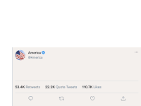 Trump Bird App Sticker