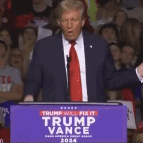Trump Clinton GIF. This 466 x 466 animated GIF is part of our hulk trump collection. Related themes include trump. Created by brinadiaries. View the…