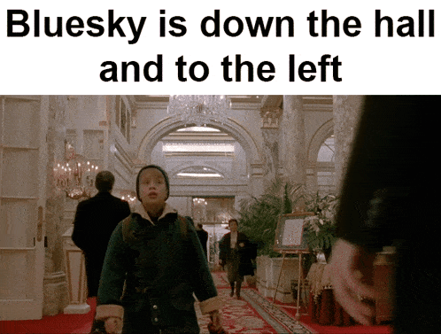 Trump Donald GIF