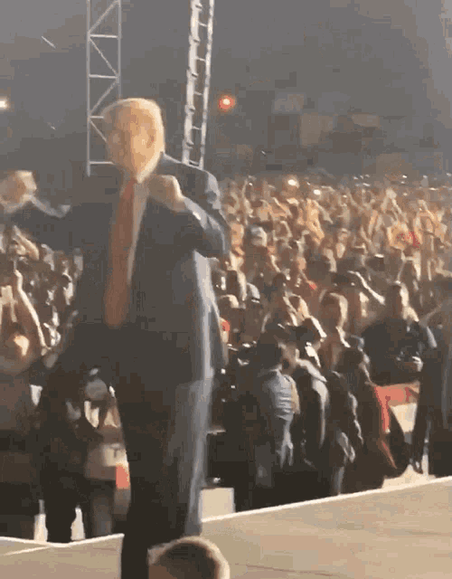 Trump Donald GIF