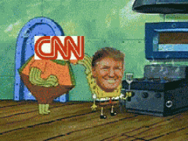 Trump Donald Trump GIF