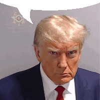 Trump Donald Trump Sticker