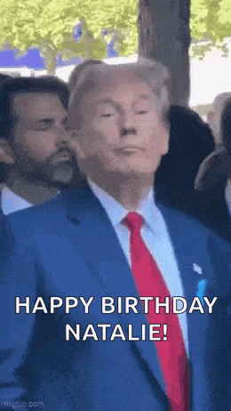 Trump Donald Trump GIF
