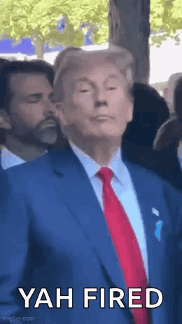 Trump Donald Trump GIF