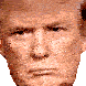 Trump Sticker