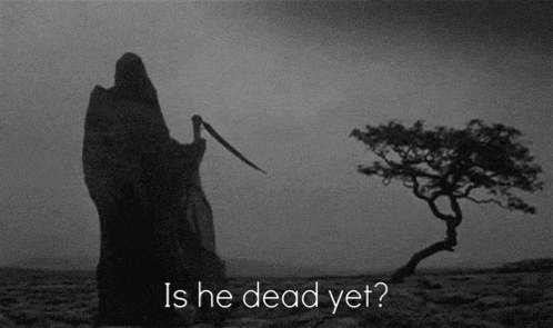 Trump Election GIF