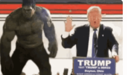 Trump Hulk GIF. This 498 x 297 animated GIF is part of our hulk trump collection. Related themes include hulk, trump. Created by marie_crfn. View the…