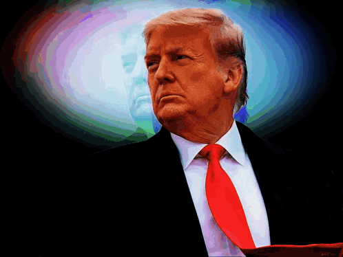 Trump Maga GIF