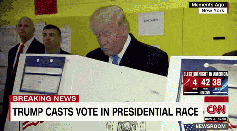 Trump Peeking GIF