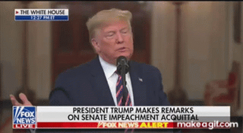 Trump Remarks GIF