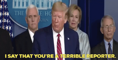 Trump Reporter GIF