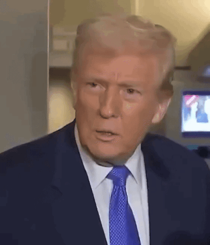 Trump Smh Disbe GIF