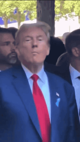 Trump Trump 2024 GIF. This 280 x 498 animated GIF is part of our i award you no points collection. Related themes include thumbs up, trump. Created by…