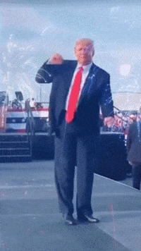 Trump Trump Dance GIF