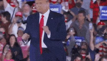 Trump Wins Trump 2024 GIF