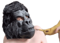 Trying To Eat The Banana Ricky Berwick Sticker