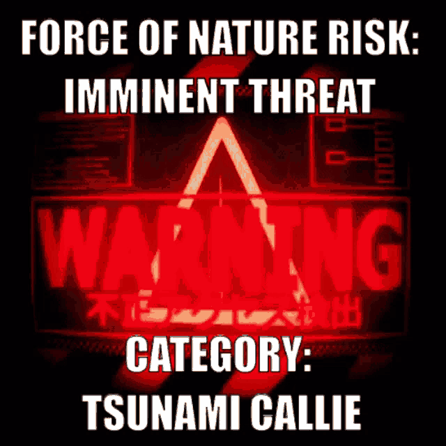 Tsunami Callie Callie Warning GIF
