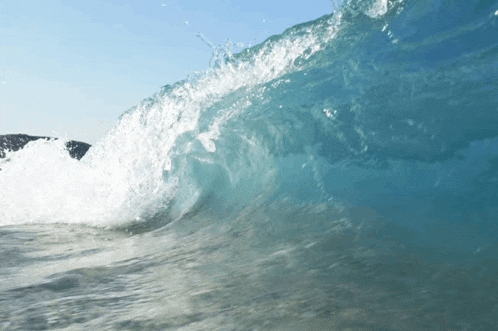 Tsunami Meme