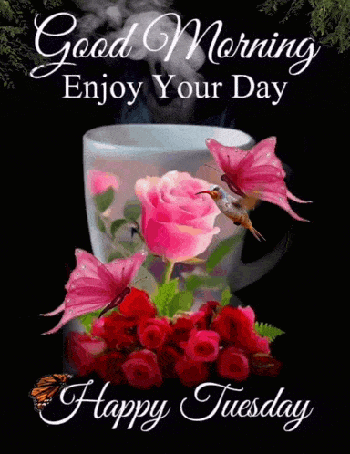 Tuesday Blessings Good Morning Tuesday GIF