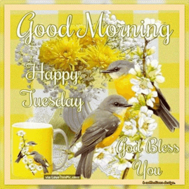 Tuesday Blessings GIF