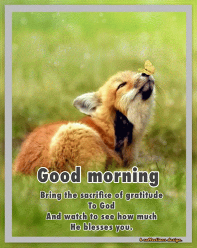 Tuesday Blessings GIF. This 396 x 498 animated GIF is part of our lustiger dienstag collection. Related themes include good, happy, morning. Created by…