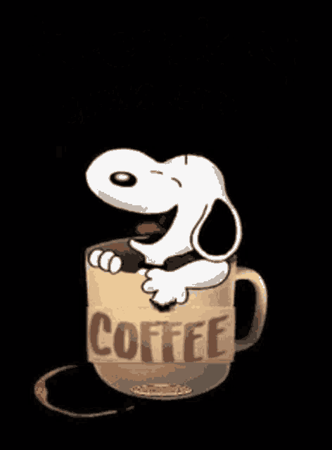 Tuesday Coffee GIF