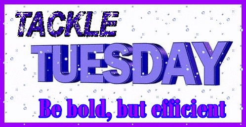 Tuesday GIF