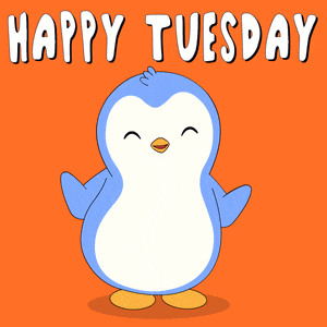 Tuesday Happy Tuesday GIF