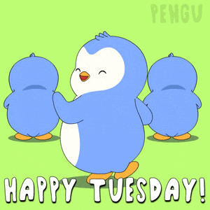 Tuesday Happy Tuesday GIF