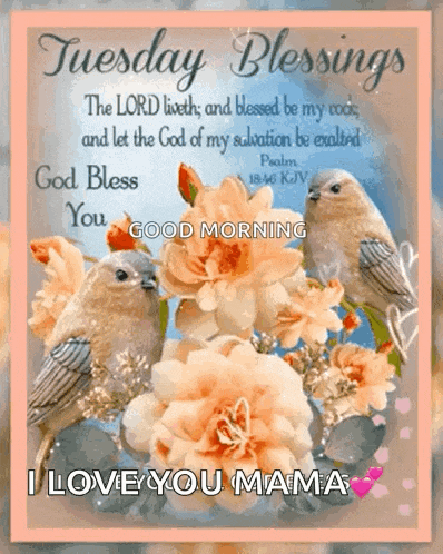 Tuesday Happy GIF