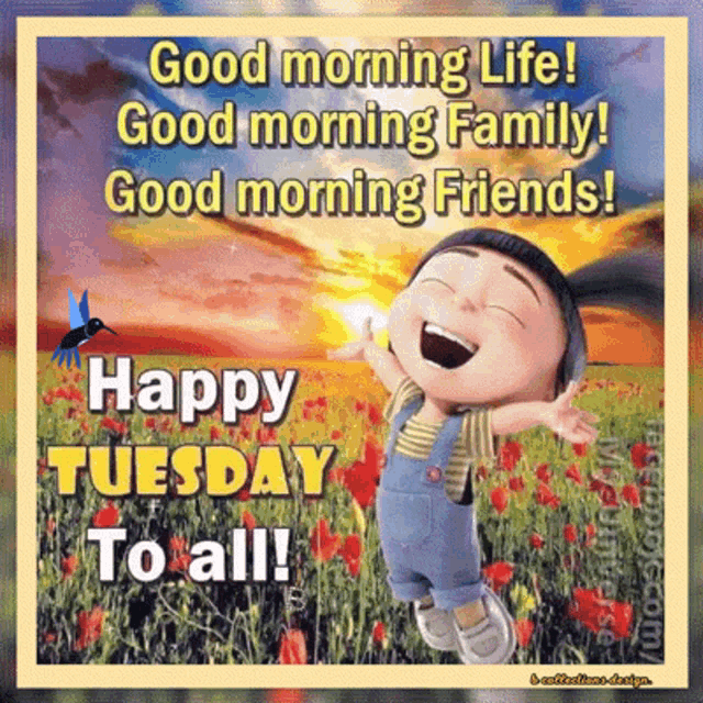 Tuesday Happy GIF