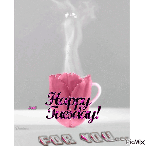 Tuesday GIF