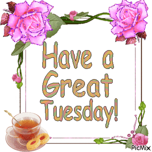 Tuesday GIF