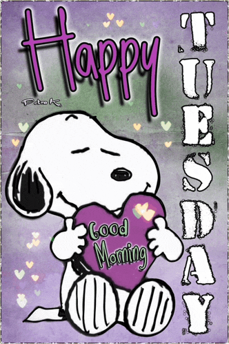 Tuesday Tuesday Good Morning Meme