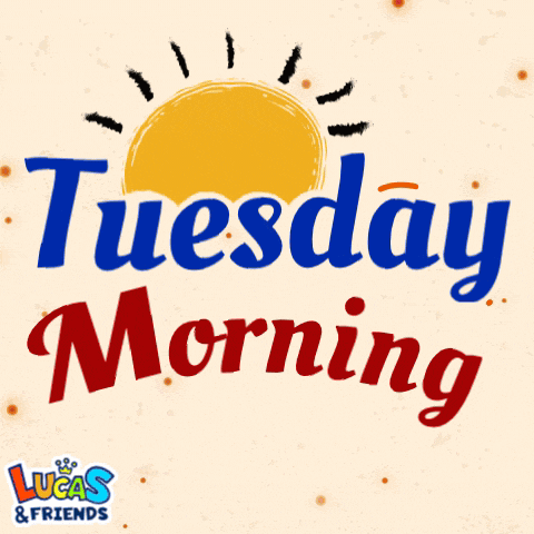 Tuesday Tuesdays GIF