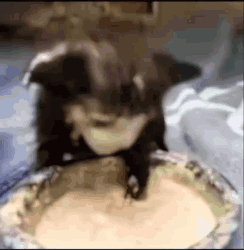 Tuff Baby Cat GIF