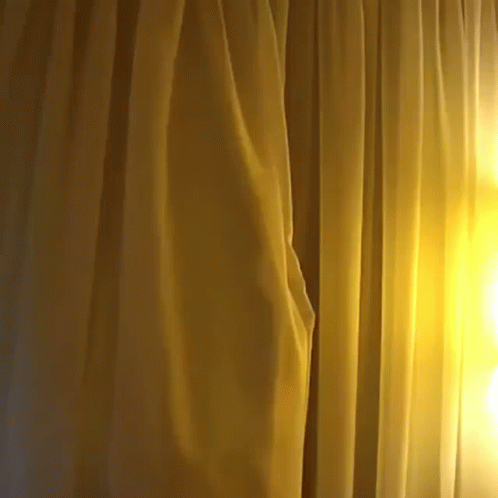 Tulla Curtain Tulla Peakaboo GIF