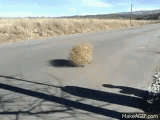 Tumble Weed GIF