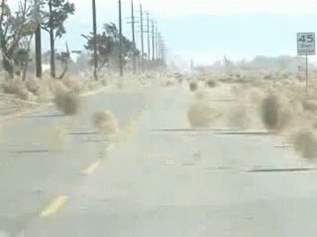 Tumbleweed Dust GIF
