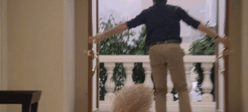 Tumbleweeds Are Jerks GIF
