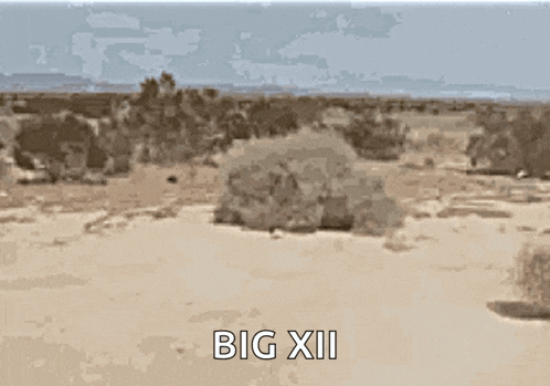 Tumbleweeds Desert GIF