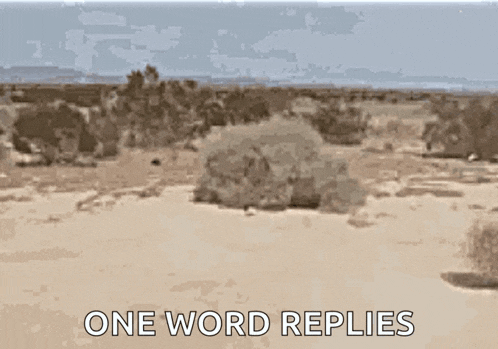 Tumbleweeds Desert GIF